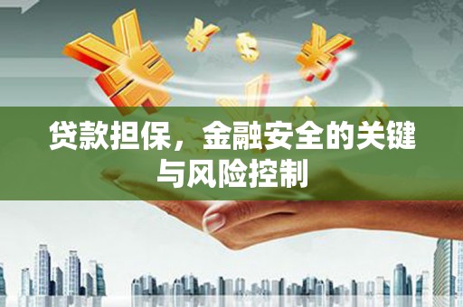 康马贷款担保，金融安全的关键与风险控制