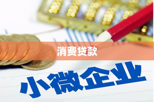 康马消费贷款