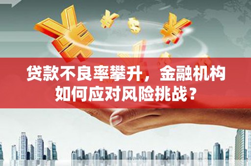 康马贷款不良率攀升，金融机构如何应对风险挑战？