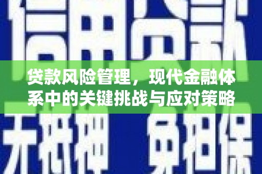 康马贷款风险管理，现代金融体系中的关键挑战与应对策略