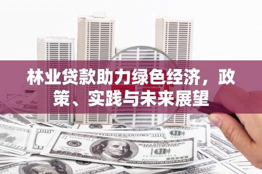 康马林业贷款助力绿色经济，政策、实践与未来展望