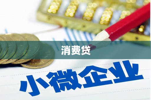 康马消费贷