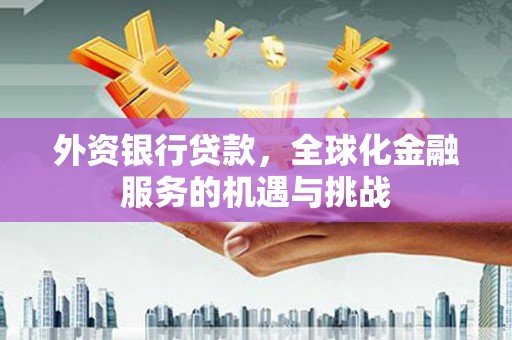 康马外资银行贷款，全球化金融服务的机遇与挑战