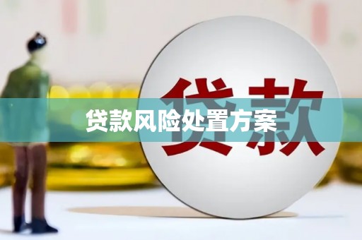 康马贷款风险处置方案