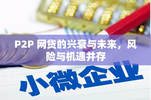 康马P2P 网贷的兴衰与未来，风险与机遇并存