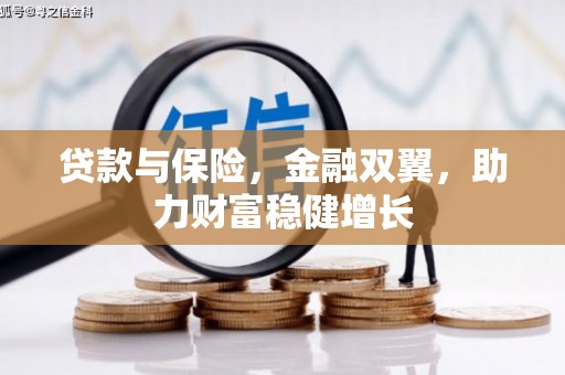 康马贷款与保险，金融双翼，助力财富稳健增长