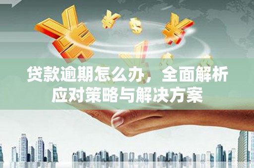 康马贷款逾期怎么办，全面解析应对策略与解决方案