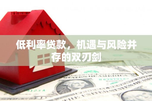 康马低利率贷款，机遇与风险并存的双刃剑