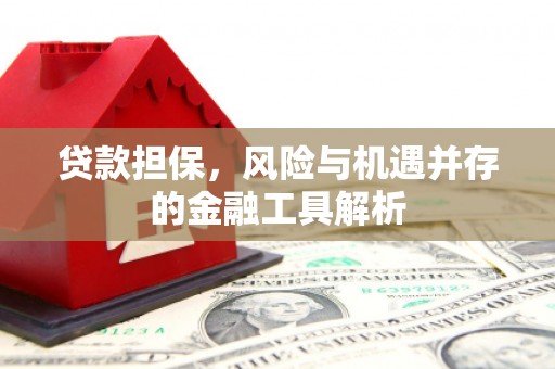康马贷款担保，风险与机遇并存的金融工具解析