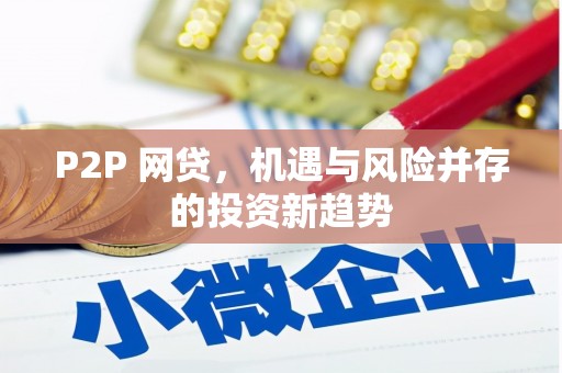 康马P2P 网贷，机遇与风险并存的投资新趋势