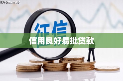 康马信用良好易批贷款