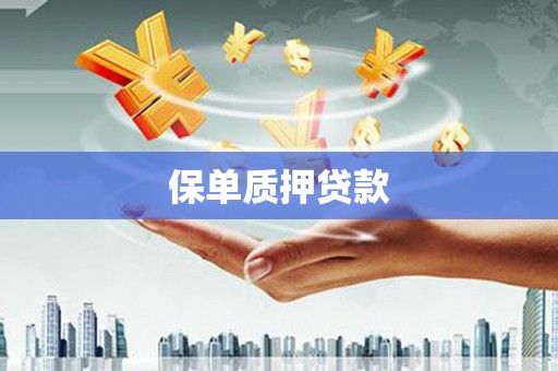 康马保单质押贷款