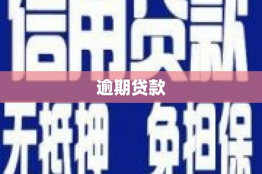 康马逾期贷款
