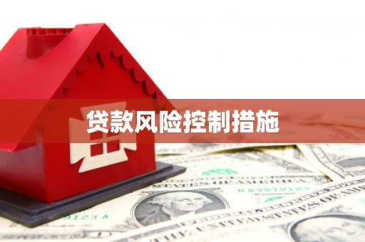 康马贷款风险控制措施
