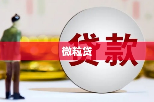康马微粒贷