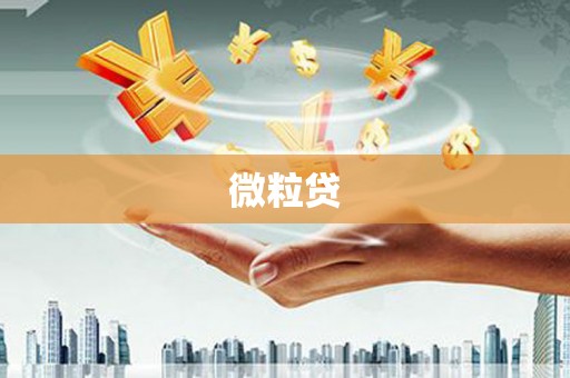 康马微粒贷