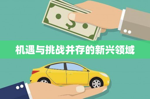 康马机遇与挑战并存的新兴领域