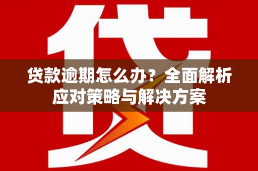 康马贷款逾期怎么办？全面解析应对策略与解决方案
