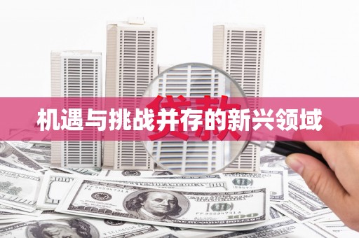 康马机遇与挑战并存的新兴领域