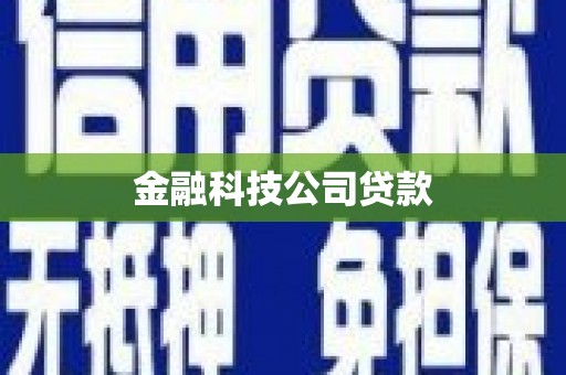 康马金融科技公司贷款