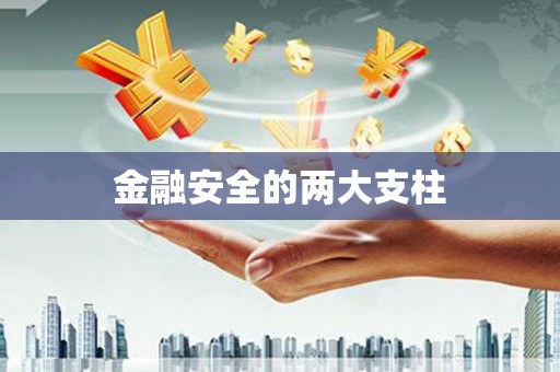 康马金融安全的两大支柱