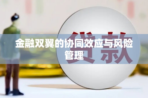 康马金融双翼的协同效应与风险管理