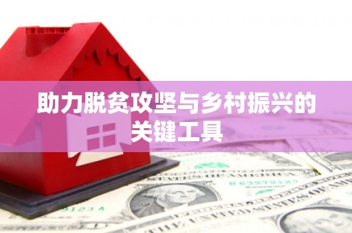 康马助力脱贫攻坚与乡村振兴的关键工具