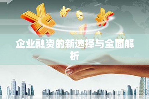 康马企业融资的新选择与全面解析