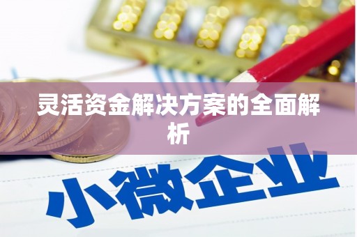 康马灵活资金解决方案的全面解析