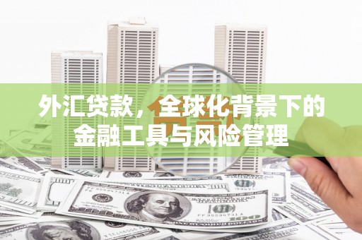 康马外汇贷款，全球化背景下的金融工具与风险管理
