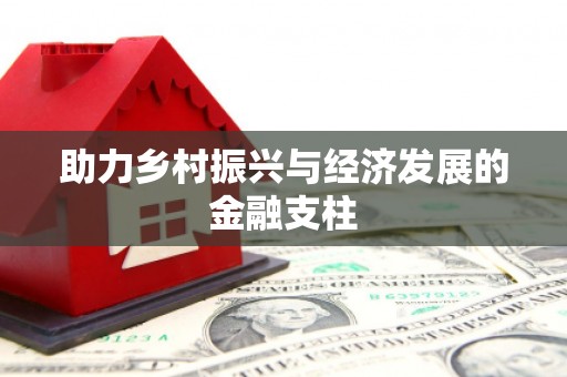 康马助力乡村振兴与经济发展的金融支柱