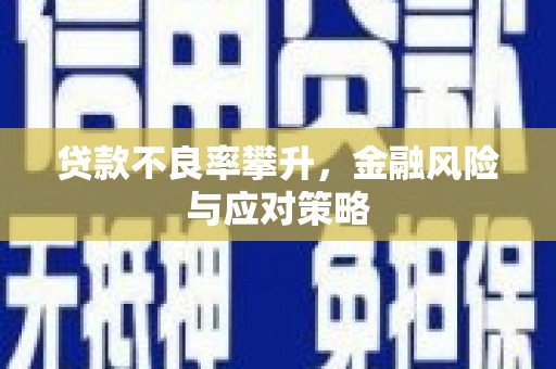 康马贷款不良率攀升，金融风险与应对策略